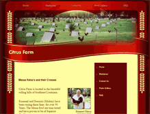 Tablet Screenshot of emanuelmassa.com